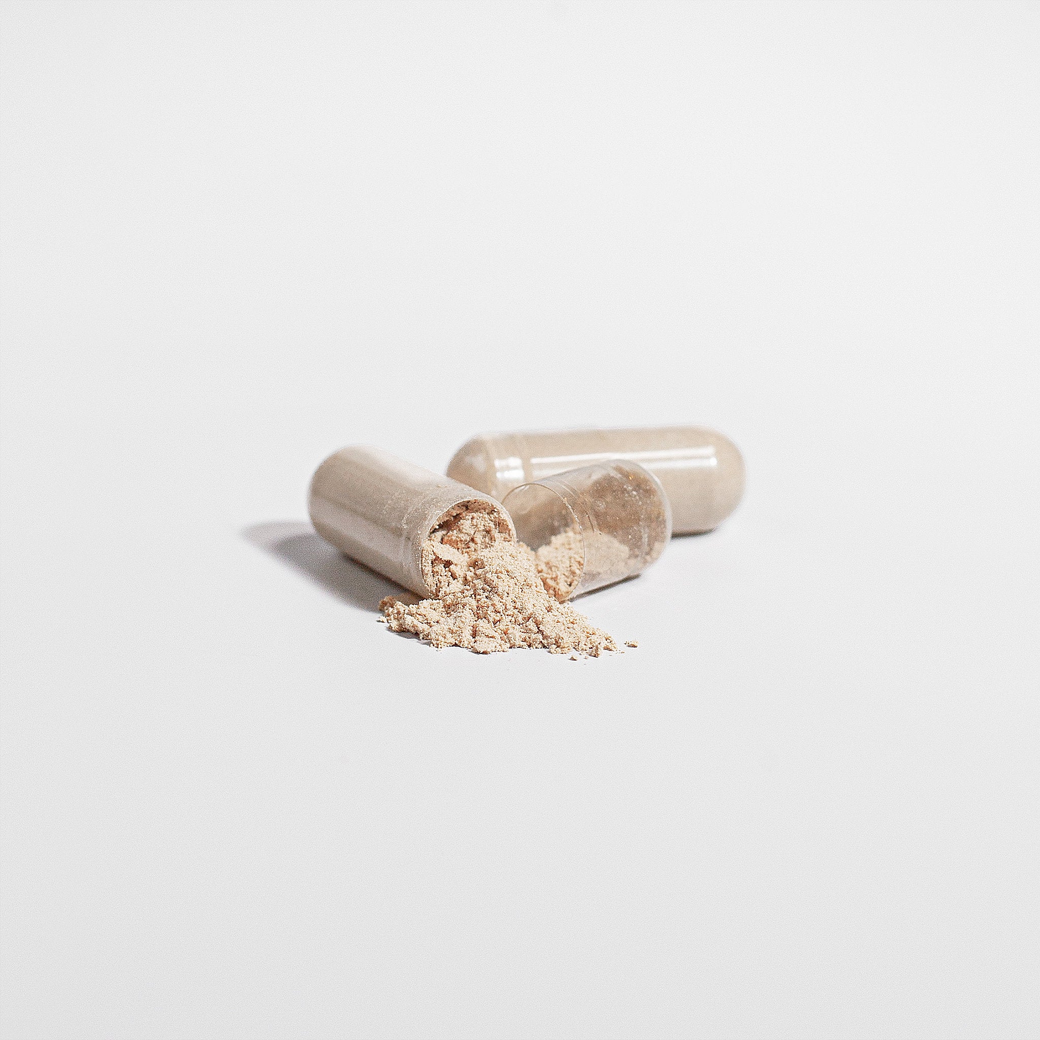 Chaga Mushroom Premium Extract